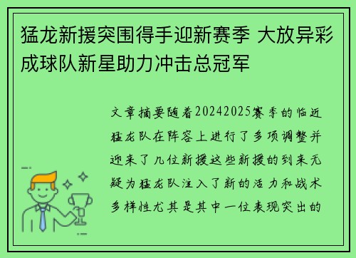 猛龙新援突围得手迎新赛季 大放异彩成球队新星助力冲击总冠军