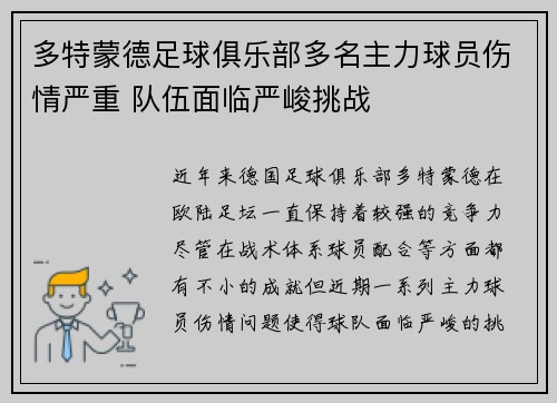 多特蒙德足球俱乐部多名主力球员伤情严重 队伍面临严峻挑战
