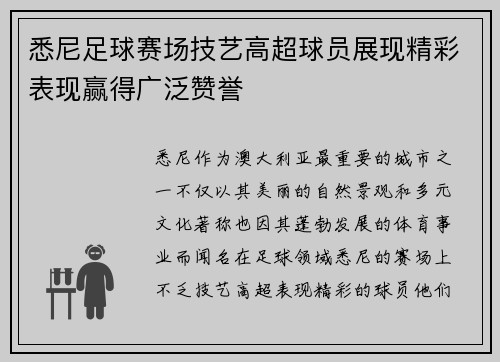 悉尼足球赛场技艺高超球员展现精彩表现赢得广泛赞誉