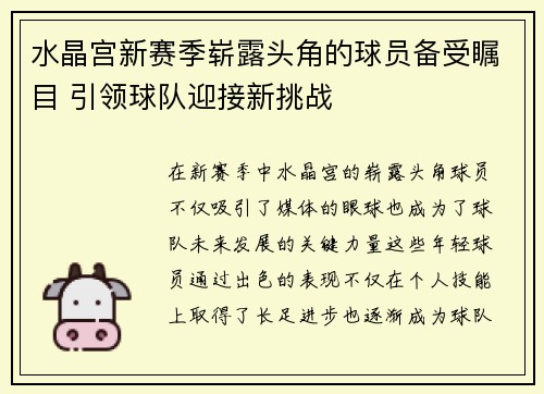 水晶宫新赛季崭露头角的球员备受瞩目 引领球队迎接新挑战